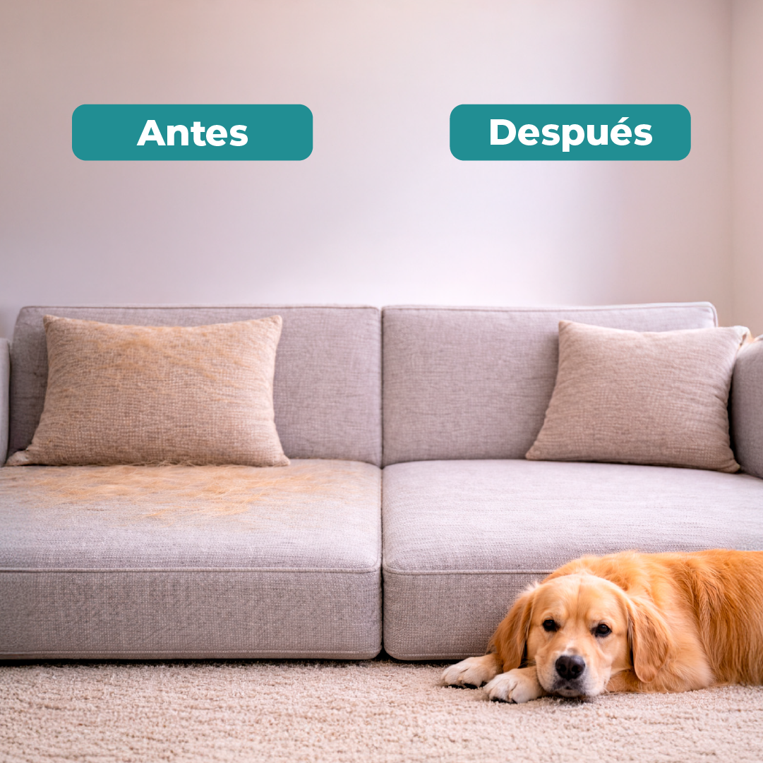 GUANTE QUITA PELOS Y PELUSA DE MASCOTAS-PREMIUM REFORZADO